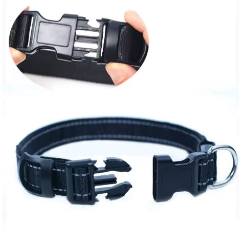 Pawly LightSafe LED-Hundehalsband