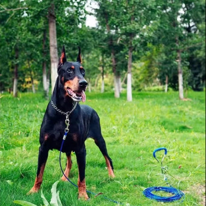 Premium-Hundehalskette