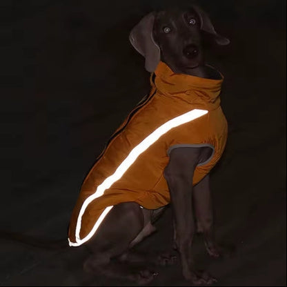 Pawly GlowWear