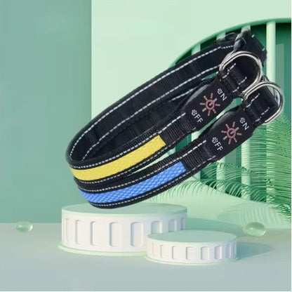 Pawly LightSafe LED-Hundehalsband