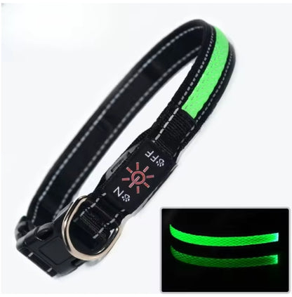 Pawly LightSafe LED-Hundehalsband