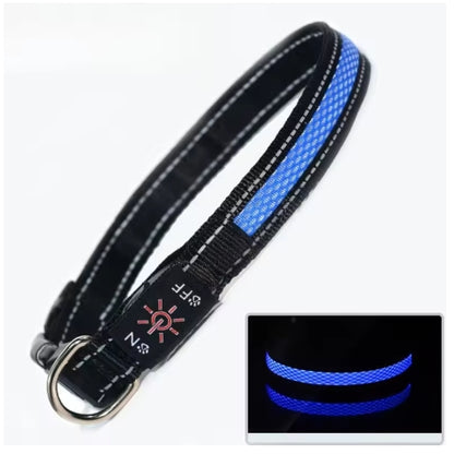 Pawly LightSafe LED-Hundehalsband