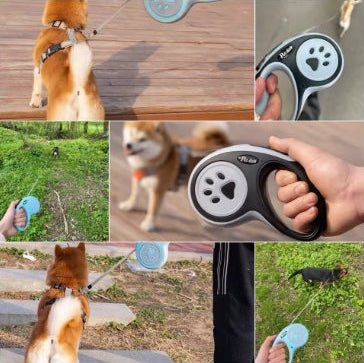 Pawly EasyWalk – Komfort-Hundeleine bis 15 kg