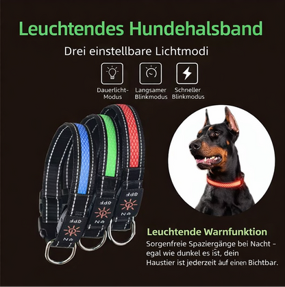 Pawly LightSafe LED-Hundehalsband
